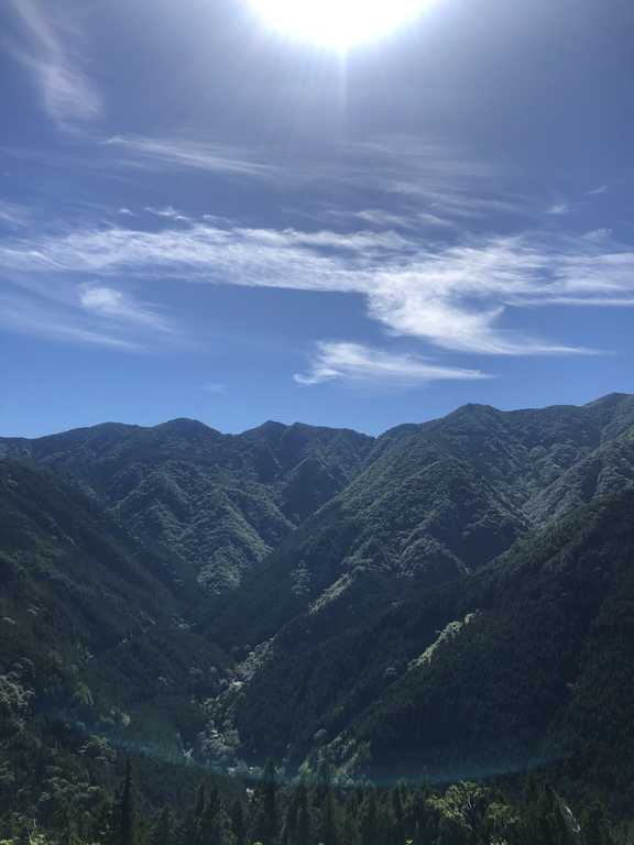 四国山岳植物園岳人の森 photo 4