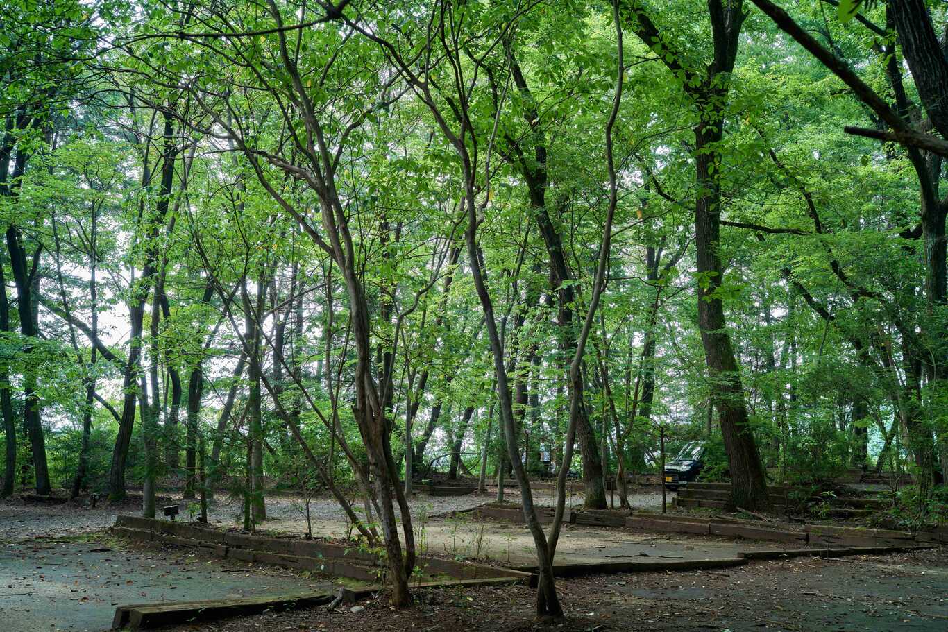 オートキャンプ場太陽の丘 photo 4