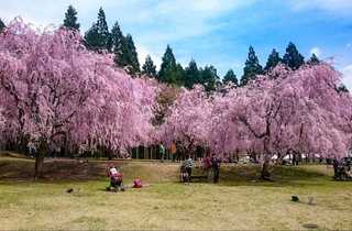 たけくらべ広場