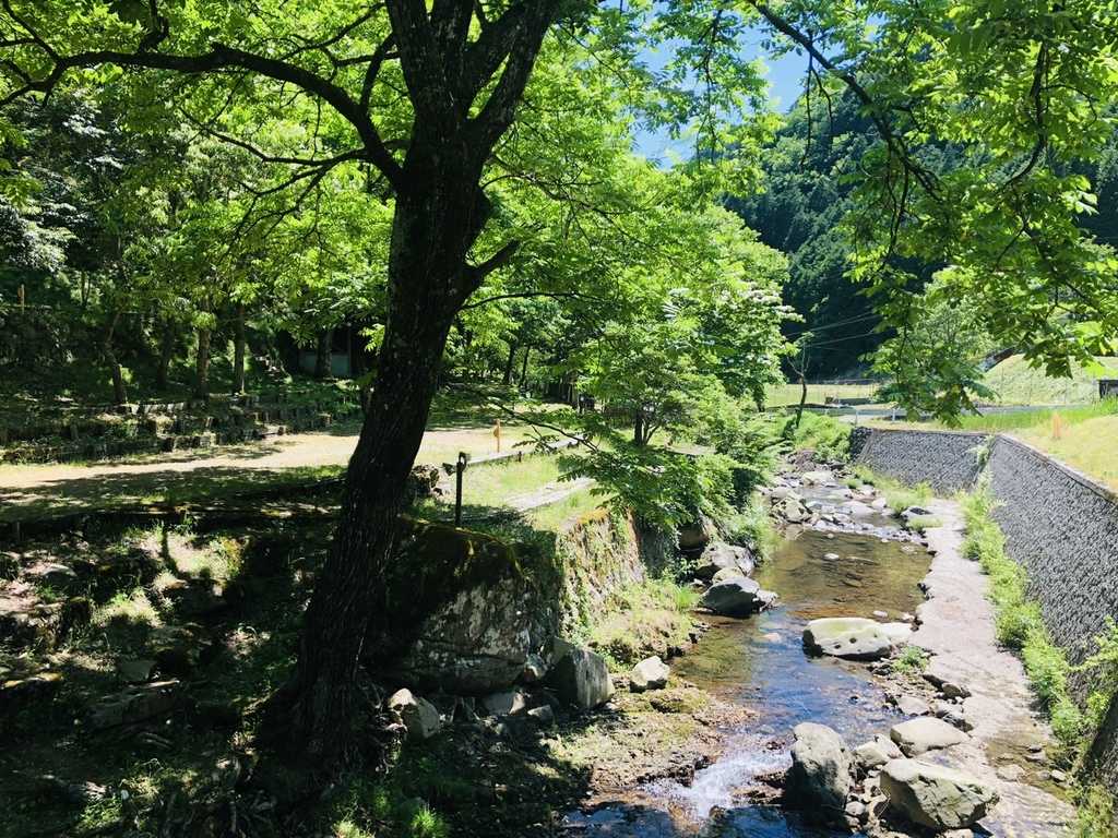 おねみ渓谷キャンプ場 photo 4