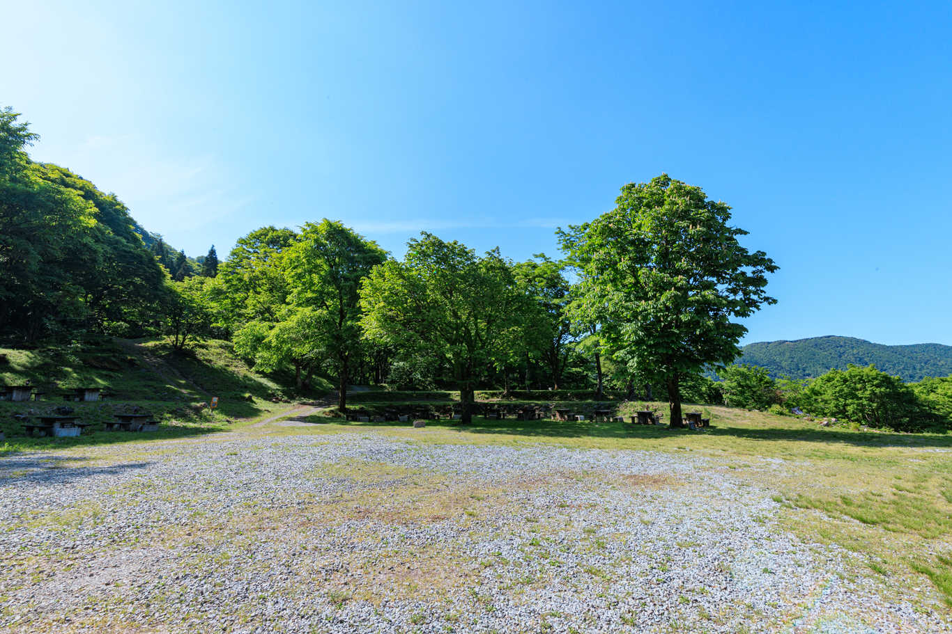 もののけの森 グリーンパークハチ北 photo 5