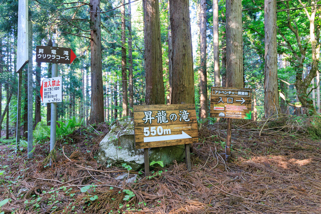 もののけの森 グリーンパークハチ北 photo 4