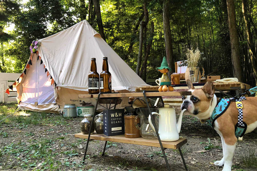 CampVillage タロリン村 photo 5