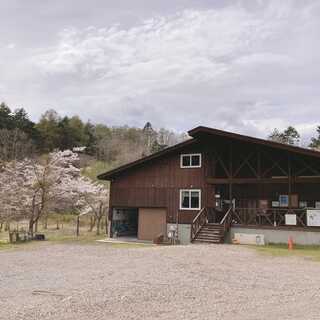白老ふるさと2000年ポロトの森キャンプ場