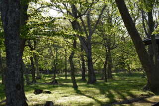 百人浜オートキャンプ場