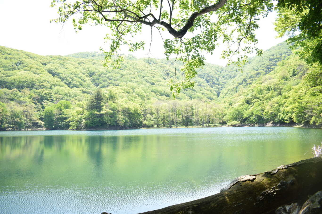 百人浜オートキャンプ場 photo 3