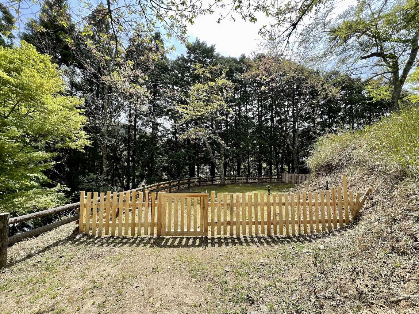 天滝公園キャンプ場 photo 5