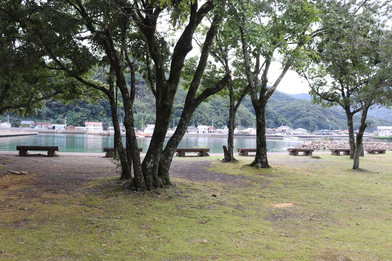 諏訪公園キャンプ場 photo 5