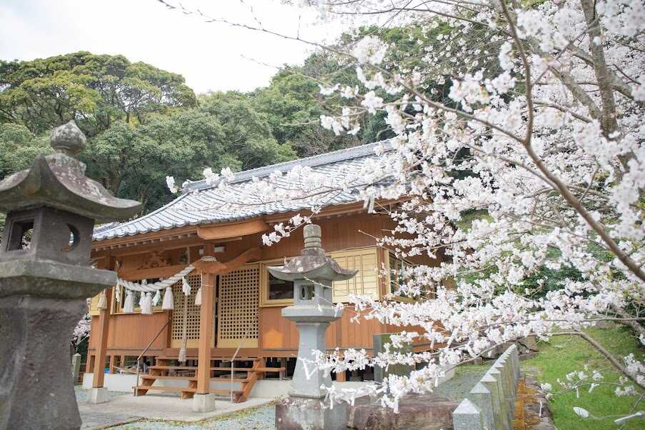 諏訪公園キャンプ場 photo 4