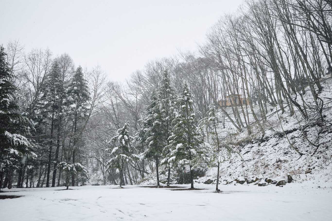 ist - Aokinodaira Field photo 3