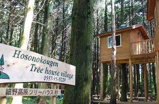 細野高原ツリーハウス村キャンプ場