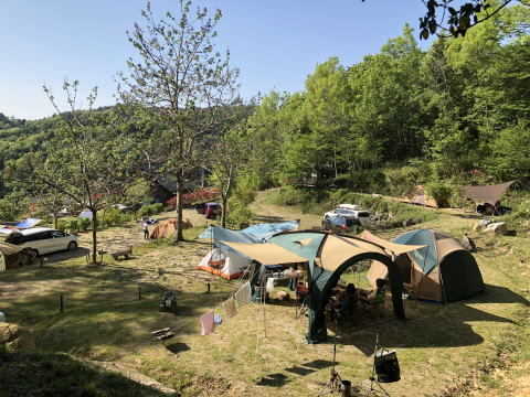 としおじさんのキャンプ場 photo 3