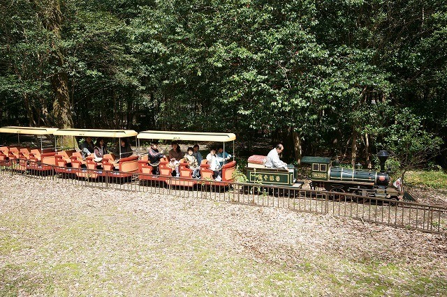 皇子原公園キャンプ場 photo 3