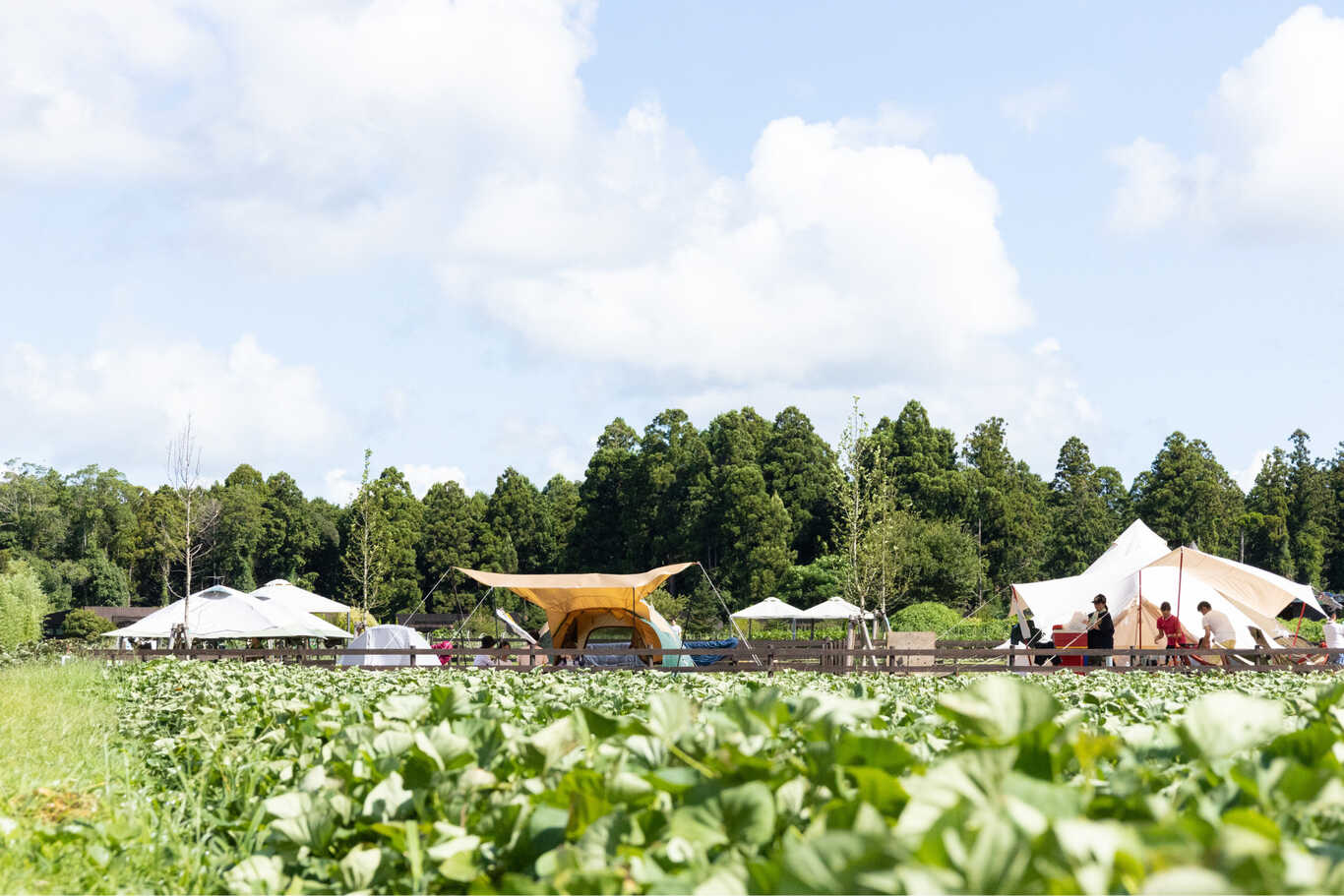 THE FARM(ザファーム)