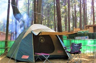 柏しょうなんゆめファーム