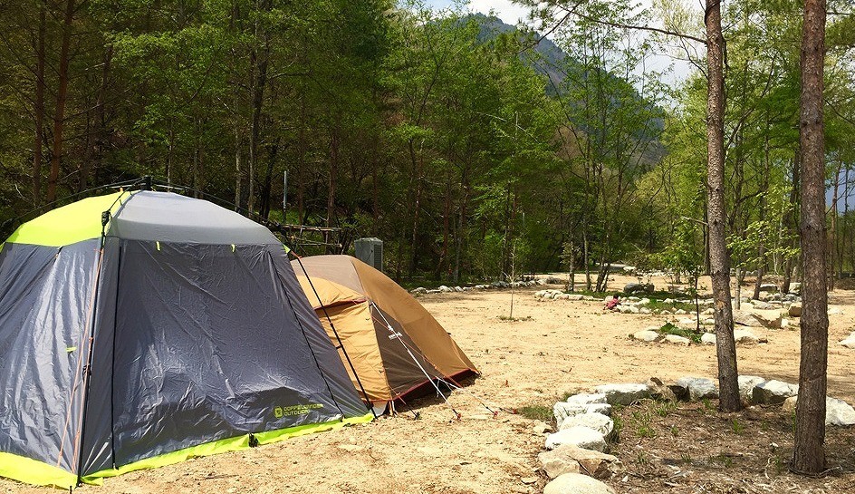 天然温泉源泉かけ流し 心笑キャンプ場