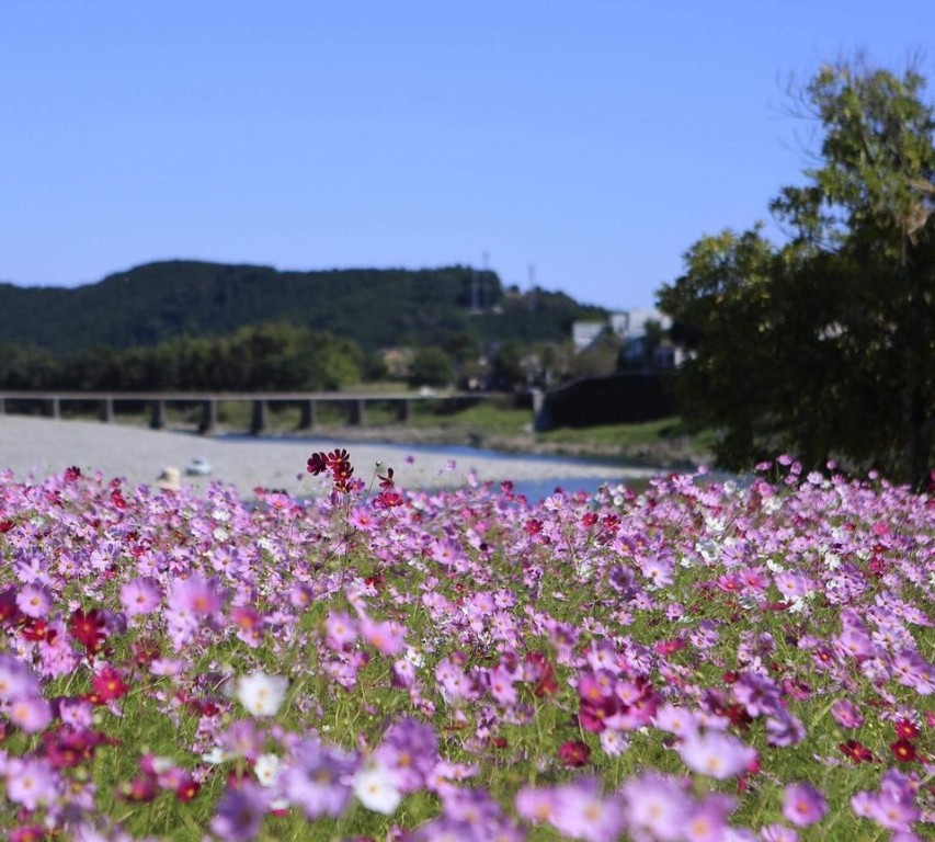 スノーピークおち仁淀川キャンプフィールド photo 5
