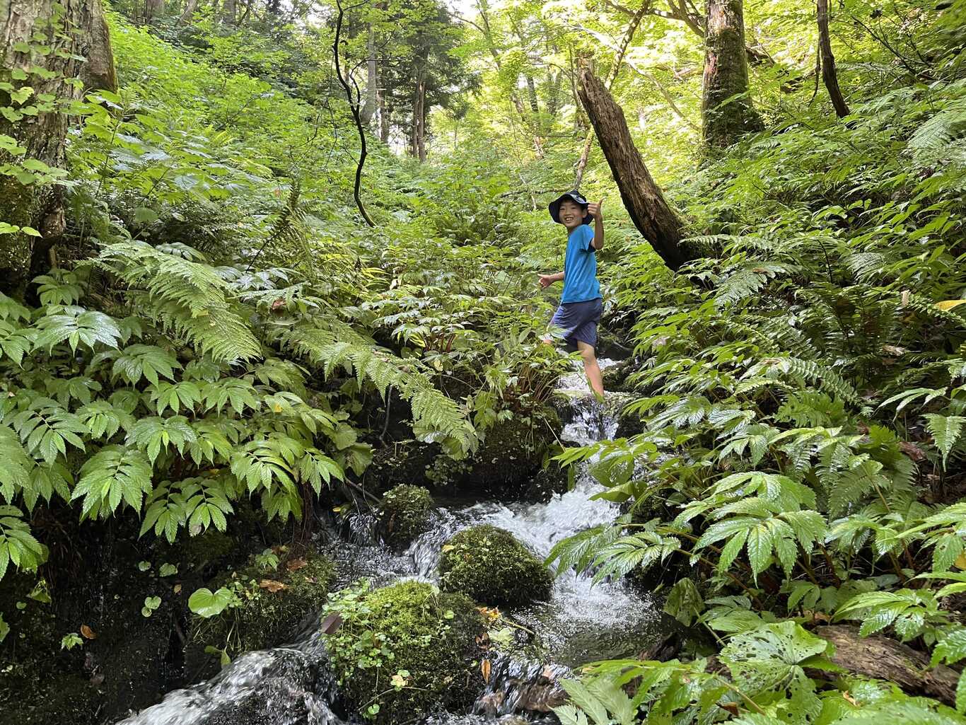 石坂森林探険村 photo 5