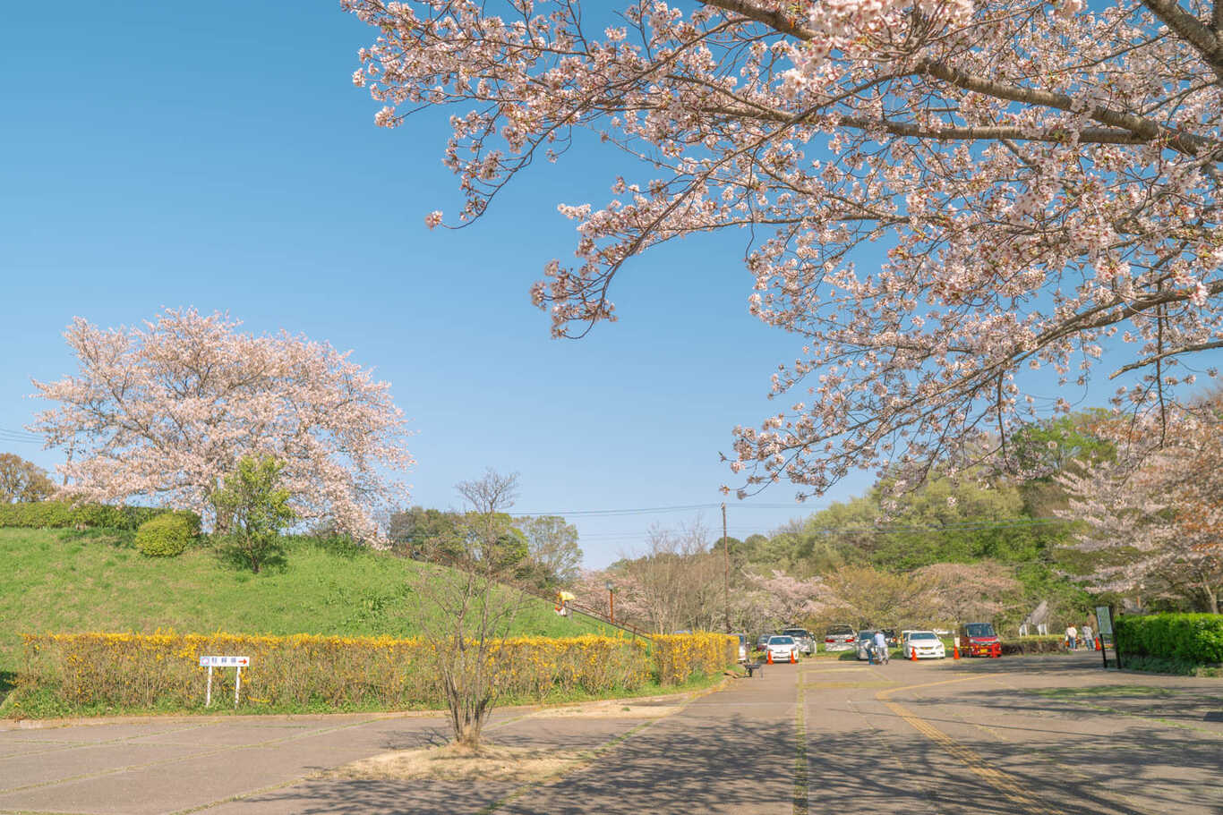サンアメニティ北本キャンプフィールド photo 4