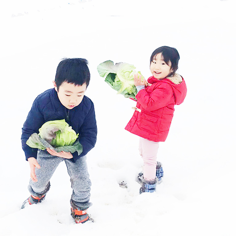 FARM&CAMP RE:HAKUBA photo 3