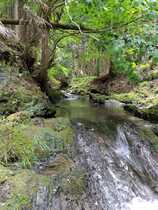 芦見谷芸術の森