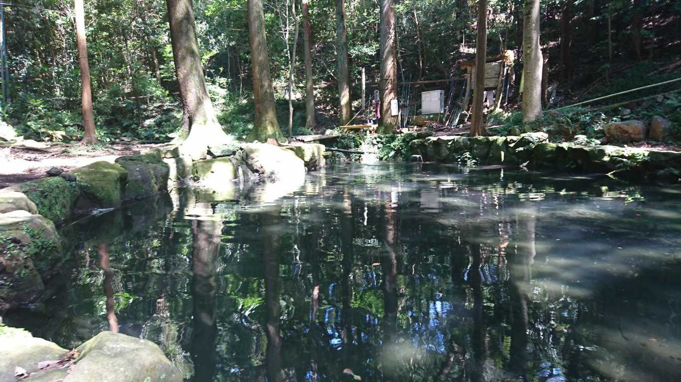 丸鉄園キャンプ場 photo 3