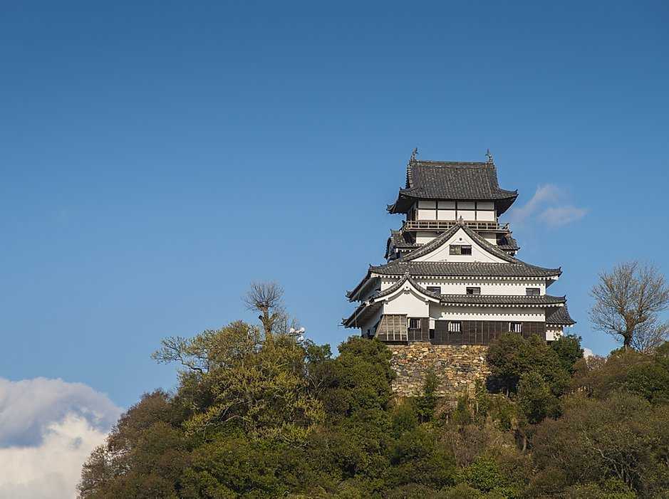 伊木山フォレスト photo 3