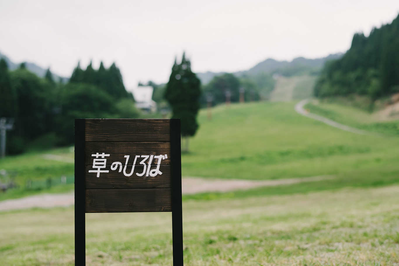 森とぼくの休日 HACHIKITA CAMP FIELD