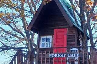 那須キャンプ フォレストカフェ那須