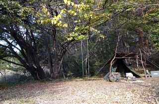 望月キャンプサイト野らら