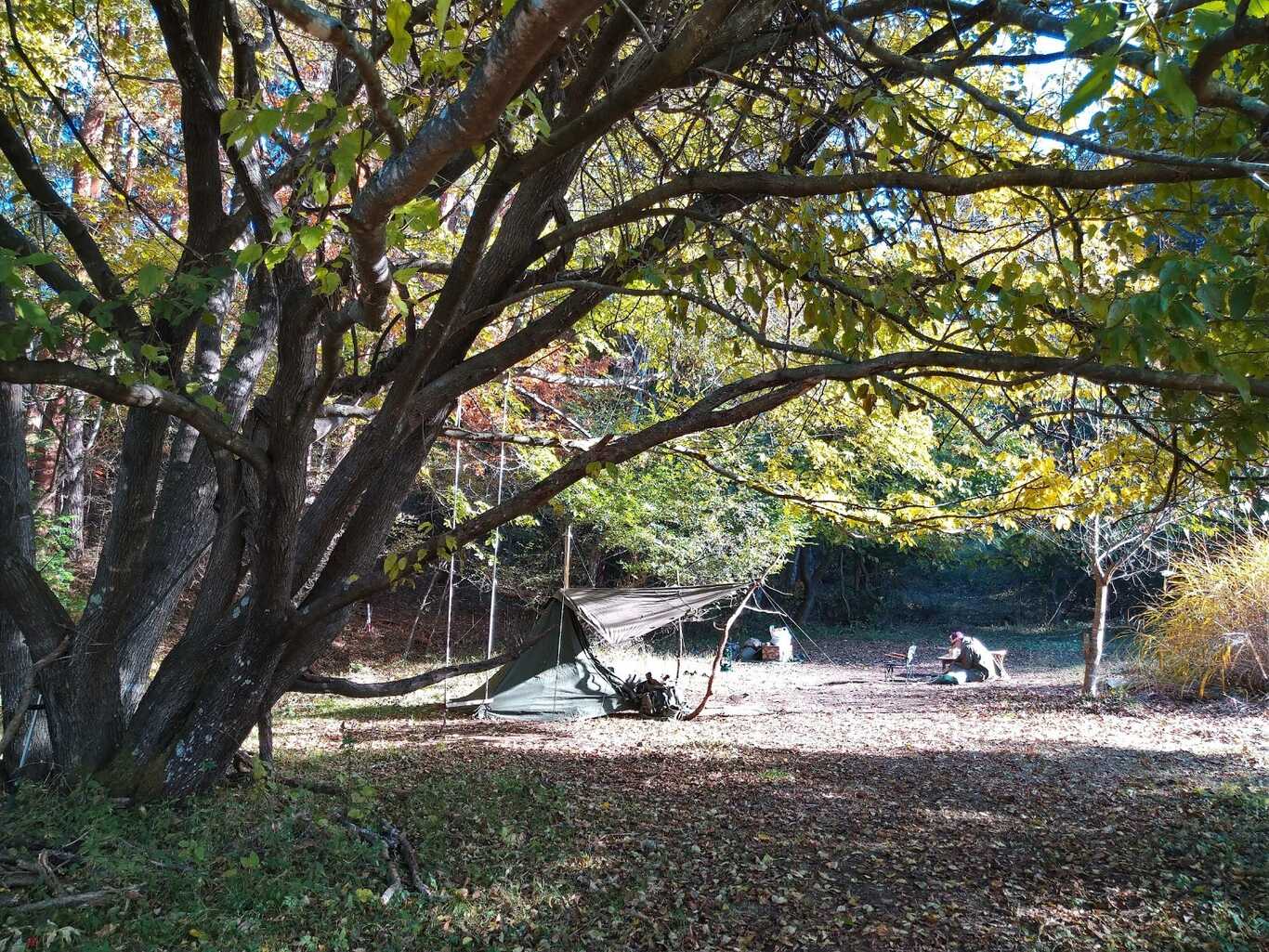 望月キャンプサイト野らら photo 4