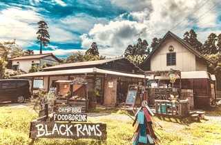 BLACK RAMS