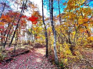 百年小屋キャンプ場