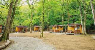 VIASSO(ビアッソ)