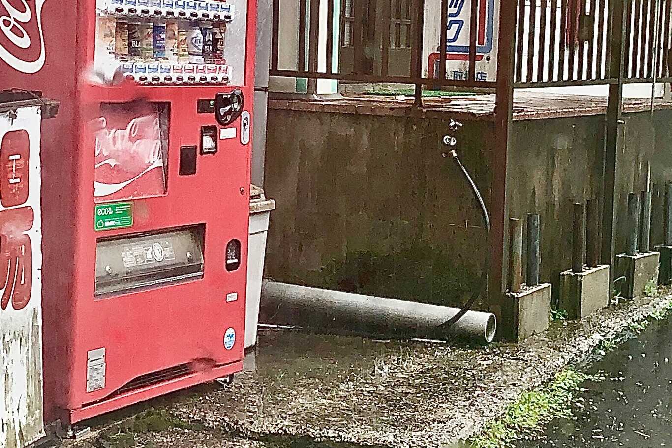 かわらびオートキャンプ場 photo 3