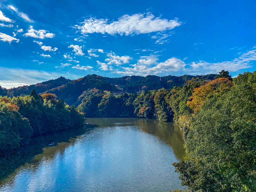 やまももキャンプ場