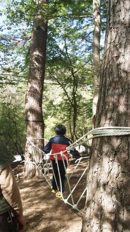SPORTS TRAIN in Forest CAMP