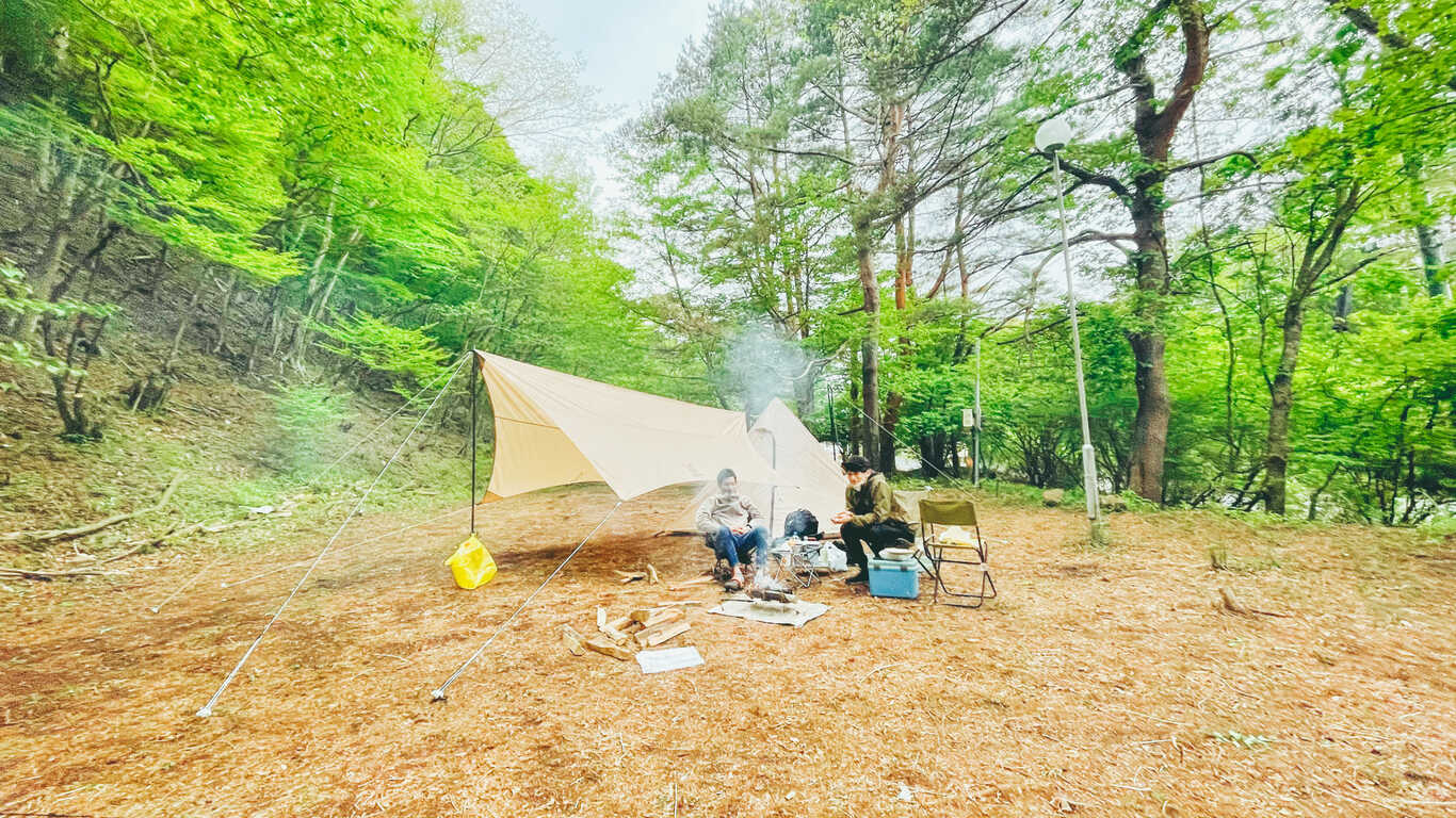 SPORTS TRAIN in Forest CAMP photo 3