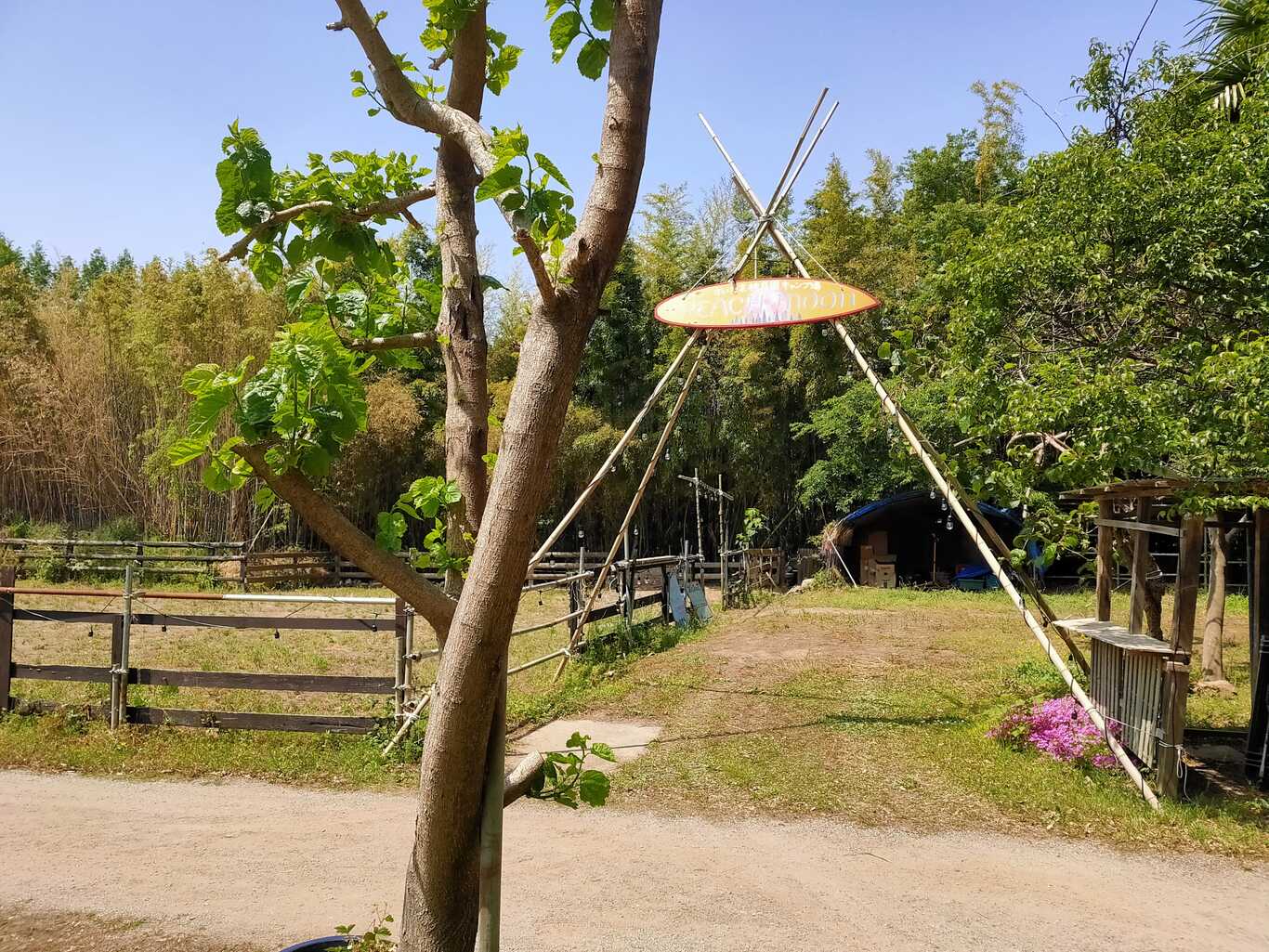 さいたま桃月園キャンプ場 photo 4