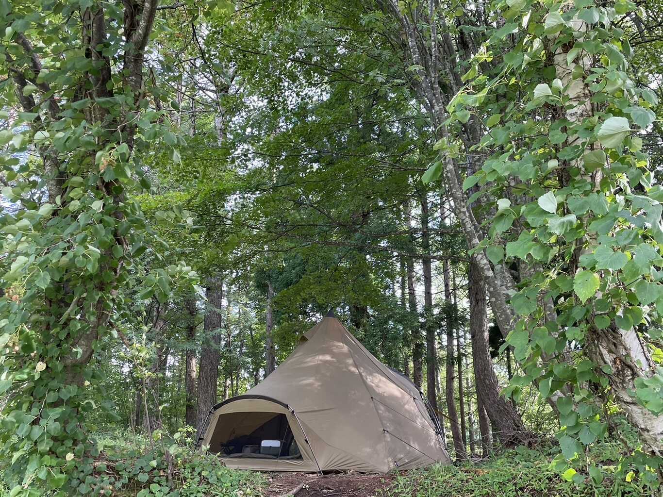 ハチ高原オートキャンプ場 photo 3