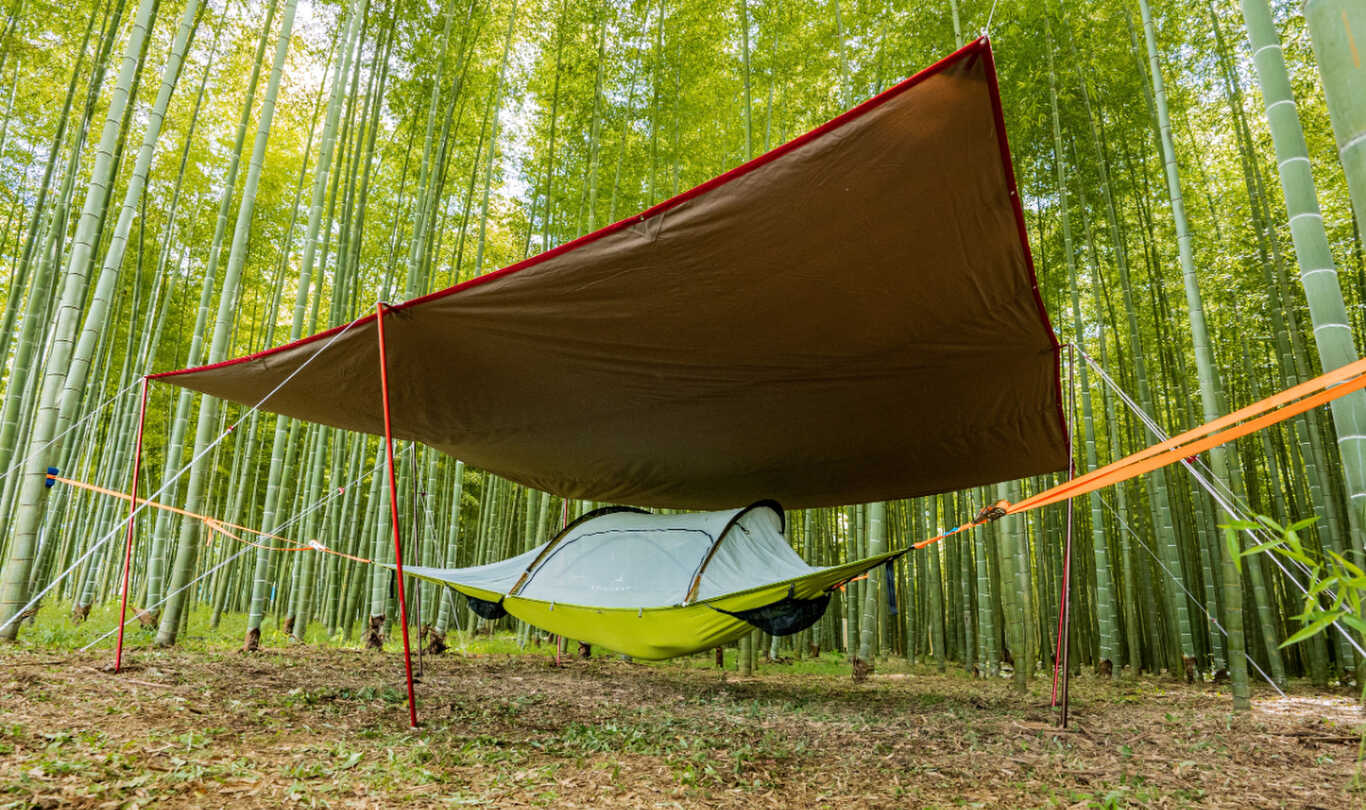 若竹の杜 若山農場 photo 4