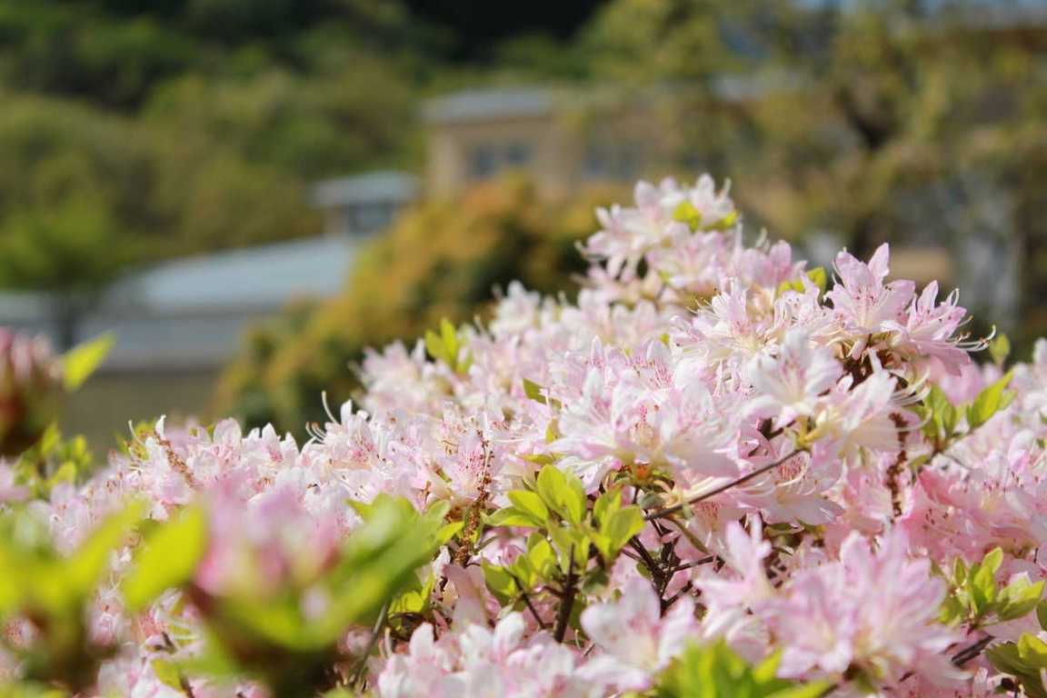 天空の大地 久住高原ホテル photo 4