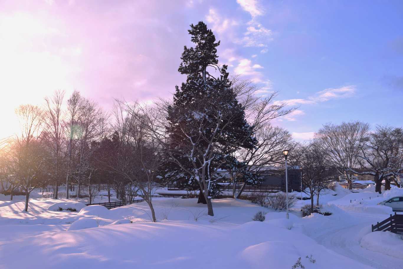 PARK DAIKANYAMA
