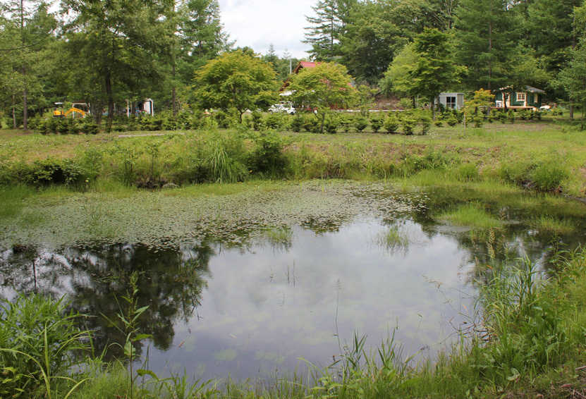 北軽井沢 どんぐり山の一番星 キャンプ場