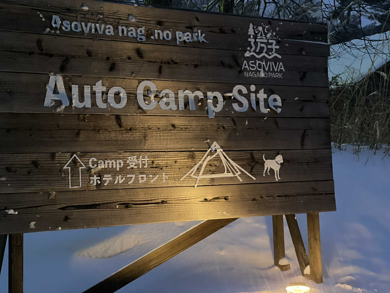 ワンコと遊べるオートキャンプ場(アソビーバナガノパーク) photo 5