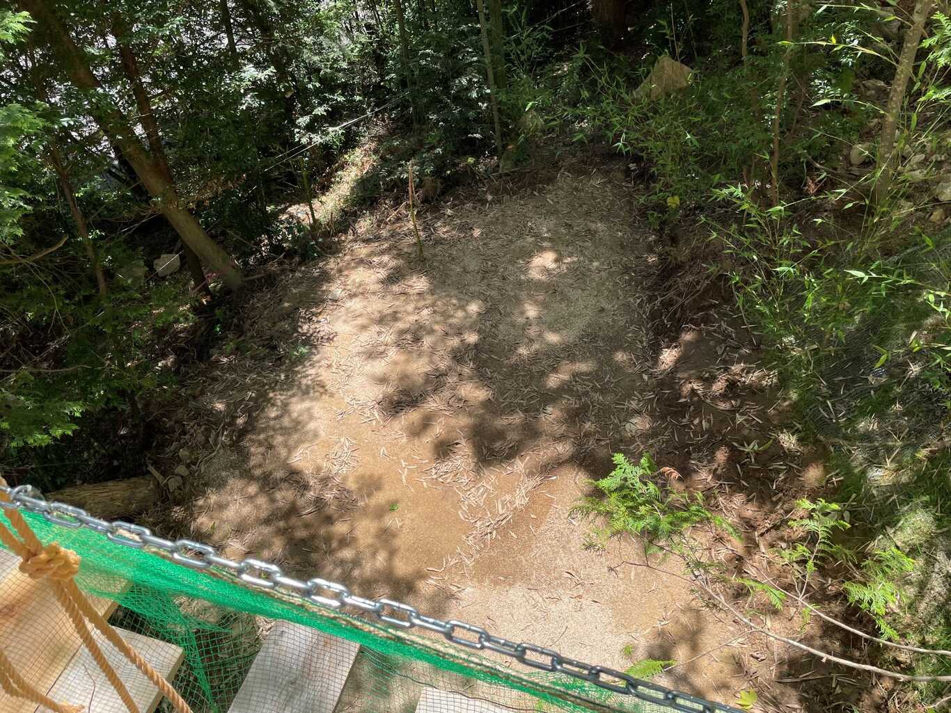 野うさぎの杜 photo 5
