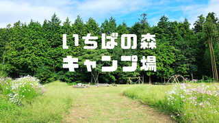 いちばの森キャンプ場(旧:市場の間)