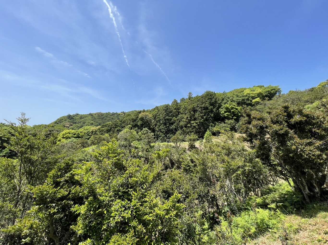 天空のワイルドキャンプ山 photo 5