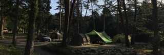 山の寺キャンプ場