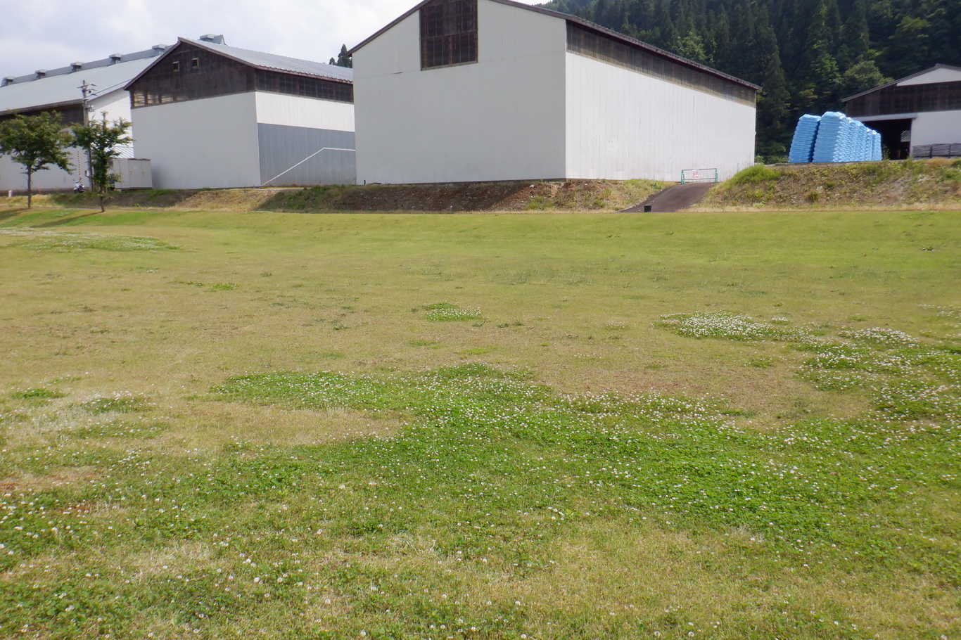 清津川フレッシュパーク photo 3